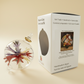 White box packaging for blown glass ornaments inspired by Auguste Renoir's Bouquet of Chrysanthemums, fair trade handcrafted