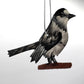 Sustainable handcrafted upcycled metal Canada Jay bird ornament, fair trade, ethically handmade, eco-friendly