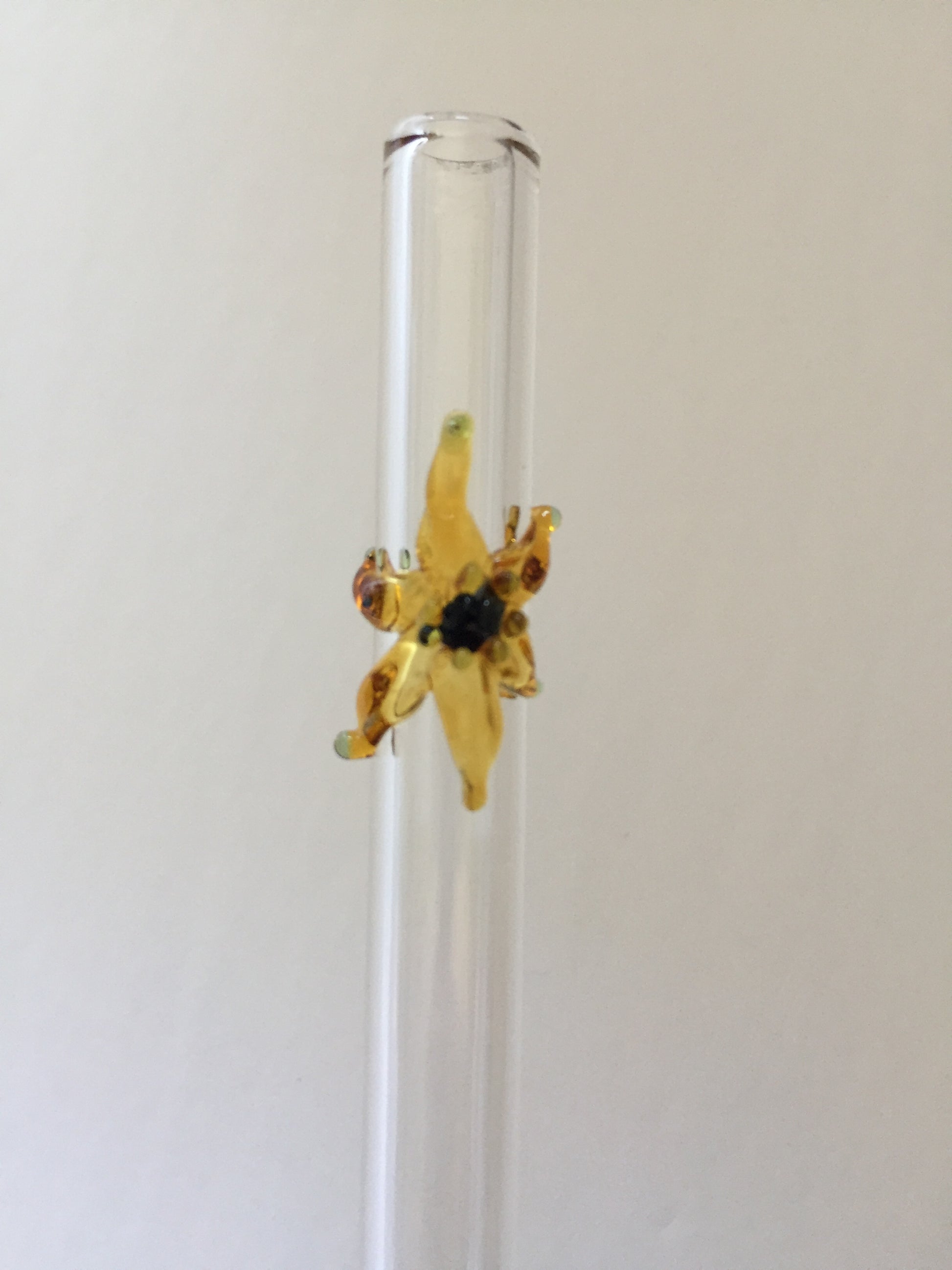 Blown Glass Straw - Transparent with Stars